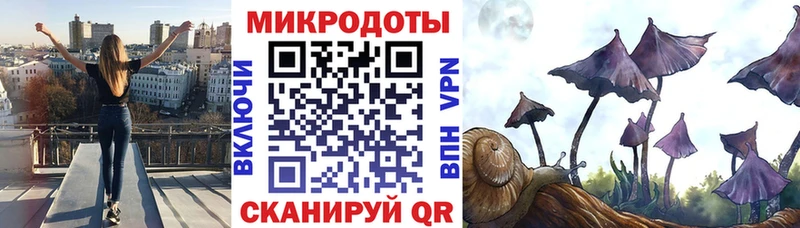 Галлюциногенные грибы Cubensis  Гвардейск 